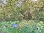 Grond te koop in Tessenderlo-Ham, 1500 m² of meer