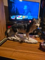 Wolf beeld, Verzamelen, Ophalen, Nieuw, Dier