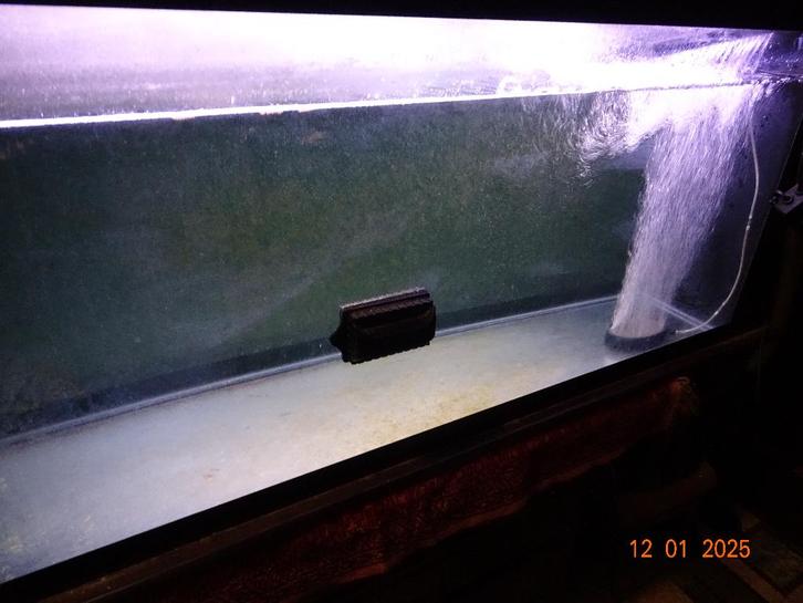 Aquarium 150 x 60 x 40, Dieren en Toebehoren, Vissen | Aquaria en Toebehoren, Gebruikt, Leeg aquarium, Ophalen