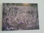Set van 2 foto canvas, Huis en Inrichting, Woonaccessoires | Schilderijen, Tekeningen en Foto's, Ophalen, Zo goed als nieuw