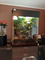 Terrarium voor kameleon, Dieren en Toebehoren, Ophalen, Zo goed als nieuw, Verlichting