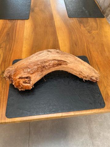 Mooi stuk aquarium hout beschikbaar voor biedingen