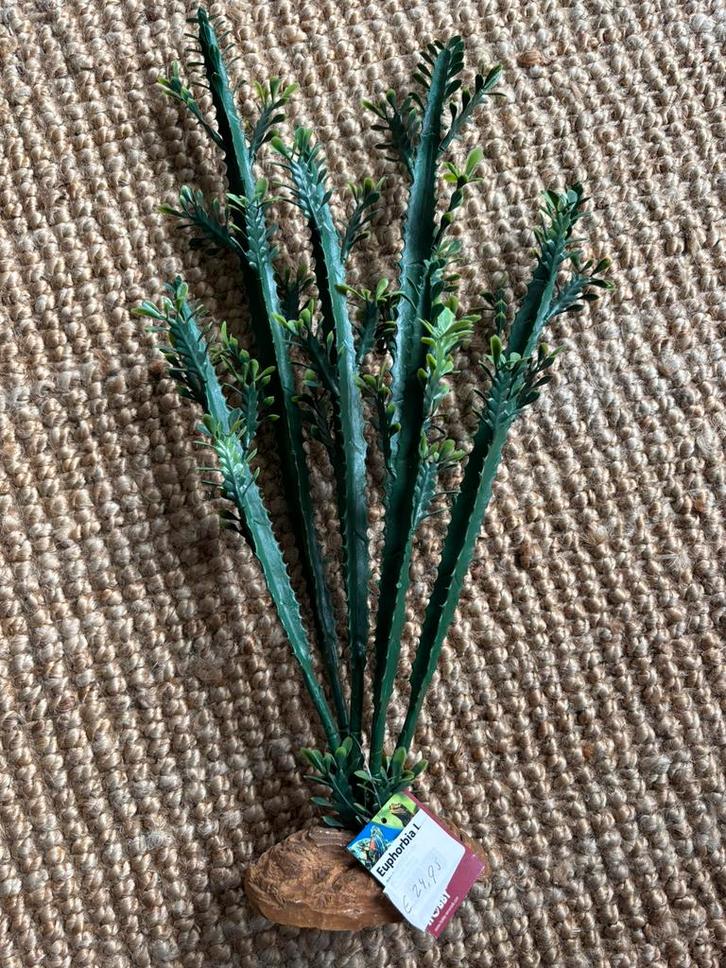 Hobby Terrano Euphorbia plant NIEUW, Dieren en Toebehoren, Reptielen en Amfibieën | Toebehoren, Nieuw, Tak, Plant, Rots of Steen