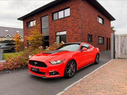 Ford Mustang Ecoboost, Autos, Ford, Particulier, Mustang, ABS, Caméra de recul, Airbags, Air conditionné, Bluetooth, Ordinateur de bord