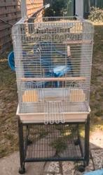Voliere, Animaux & Accessoires, Oiseaux | Cages & Volières, Enlèvement