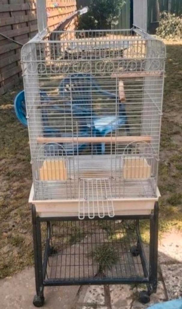 Voliere, Dieren en Toebehoren, Vogels | Hokken en Kooien, Ophalen