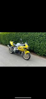 Suzuki TL1000s, Motoren, Motoren | Suzuki, 1000 cc, Sport, Particulier