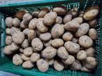 aardappelen nieuwe oogst, Zakelijke goederen, Landbouw | Aardappelen, Groenten, Fruit en Vlees, Ophalen