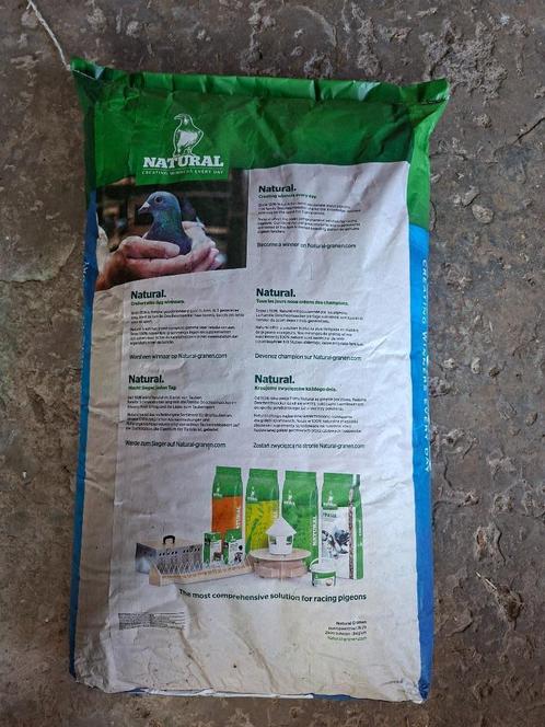 duivenvoeding, Dieren en Toebehoren, Vogels | Duiven
