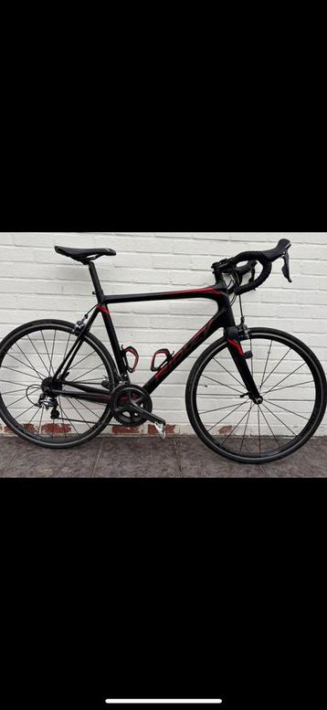 Ridley fenix, Enlèvement, Carbone