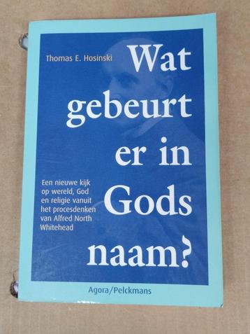 Wat gebeurt er in Gods naam? - Thomas E. Hosinski  