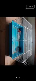 Cage hamster, Animaux & Accessoires