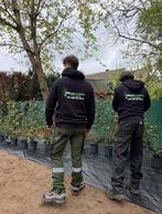 Entretien & aménagement de jardin – Travail soigné, Enlèvement, Neuf