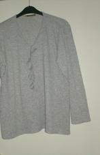 mooie fijne pul maat 52 nieuw, Kleding | Dames, Grote Maten, Ophalen of Verzenden, Nieuw, Grijs, Trui of Vest