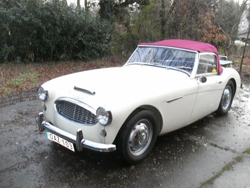 AUSTIN HEALY 1957, Autos, Oldtimers & Ancêtres, Particulier, Autres marques, Essence, Cabriolet, 2 portes, Boîte manuelle, Propulsion arrière