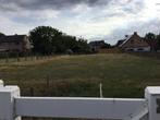 Zoek weide om te begrazen door schapen, Schaap