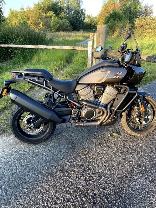Harley Davidson Pan America, Motoren, Motoren | Harley-Davidson, Particulier, Toermotor, meer dan 35 kW, Ophalen
