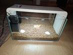 Aquarium, Dieren en Toebehoren, Vissen | Aquaria en Toebehoren, Ophalen, Zo goed als nieuw