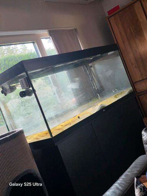 Juwel rio 450 in goede staat lekvrij, Dieren en Toebehoren, Vissen | Aquaria en Toebehoren, Zo goed als nieuw, Leeg aquarium, Ophalen