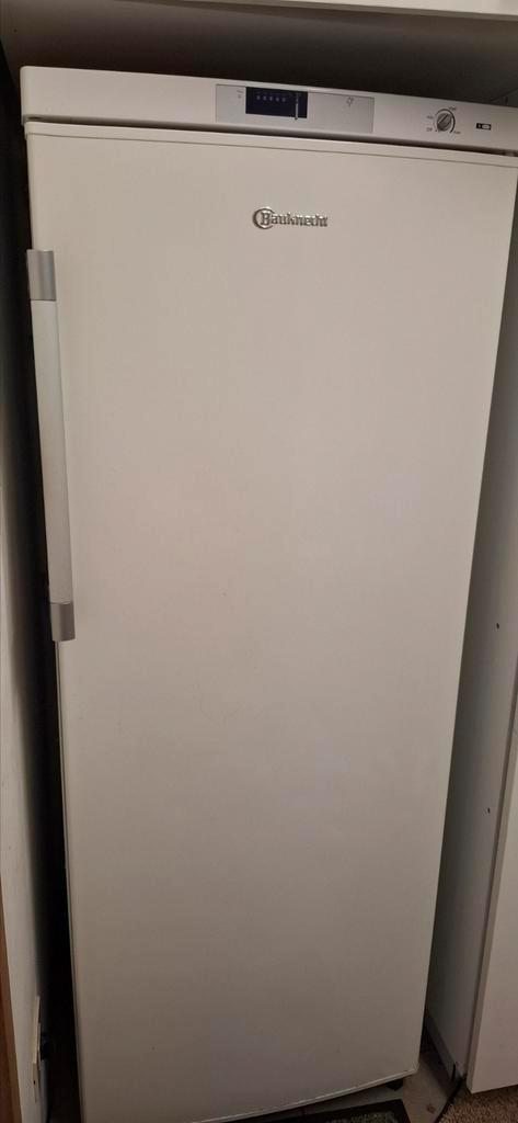 Diepvriezer, Doe-het-zelf en Bouw, Platen en Panelen, Gebruikt, Ophalen
