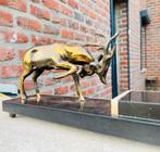 Bronzen beeld op marmer, Dieren en Toebehoren, December, Meerdere dieren