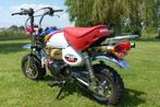 Honda monkey Z50j -150cc [motopapieren] !!! Nieuw 0,0 km !!!, Enlèvement, Neuf, Phare, Honda