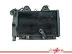 RADIATEUR Triumph Trophy 900 1996-2003 (01-1996/12-2003), Motoren, Gebruikt