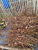 Gratis hout, Ophalen, Takken