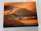 Photo sur toile caravane de dromadaires, Ophalen, Minder dan 50 cm, Nieuw, Print