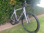 Zannata Z81 carbon maat 55, Fietsen en Brommers, Ophalen