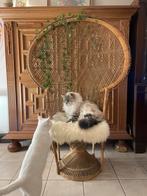 Fauteuil rotin & osier vintage style Emmanuelle, Antiquités & Art, Enlèvement