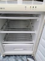 Diepvries, Elektronische apparatuur, Vriezers en Diepvrieskisten, Ophalen, Zo goed als nieuw