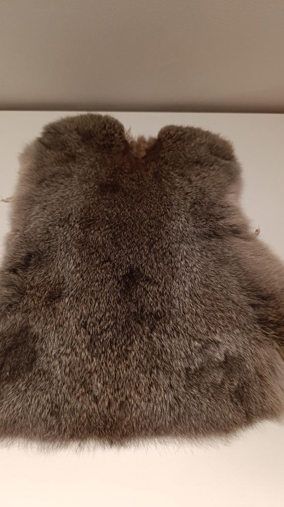 Dierenvachten, Dieren en Toebehoren, Katten-accessoires, Nieuw, Ophalen