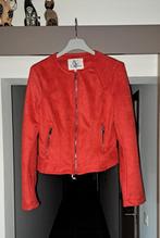 Kort rood jasje,  Colynn, M, Kleding | Dames, Jasjes, Kostuums en Pakken, Ophalen of Verzenden, Zo goed als nieuw, Rood, Jasje