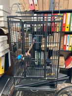 Voliere vogelkooi papegaai valkparkiet, Dieren en Toebehoren, Vogels | Hokken en Kooien, Ophalen, Gebruikt, Vogelkooi