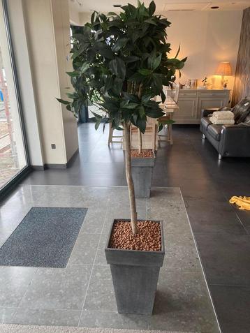 2 decoratie kunstplanten