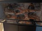 Reptielen bleu lagoon 40B50H100L, Dieren en Toebehoren, Reptielen en Amfibieën, Overige soorten