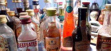 collection de mini bouteilles alcool mignonettes +/-250 pièc