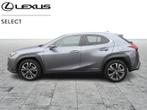 Lexus UX 250h Executive Line, Autos, Hybride Électrique/Essence, 136 kW, Automatique, Achat