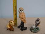 Mooie uiltjes van steen en kunststof, Ophalen of Verzenden, Nieuw, Dier