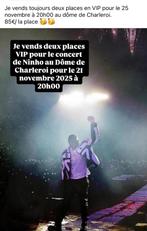 Places de concert, Tickets en Kaartjes, Concerten | Overige, Twee personen, November