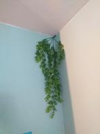 6 stuks kunsthangplant verschillende 8 euro., Enlèvement, Neuf