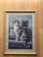 Kader poes., Ophalen, Zo goed als nieuw, Minder dan 50 cm, Minder dan 50 cm