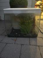 Aquarium, Dieren en Toebehoren, Vissen | Aquaria en Toebehoren, Ophalen, Gebruikt, Leeg aquarium