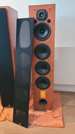 High End Luidsprekers Triangle LYRR 222, Ophalen, Zo goed als nieuw