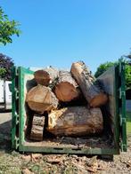 container brandhout, Tuin en Terras, Ophalen