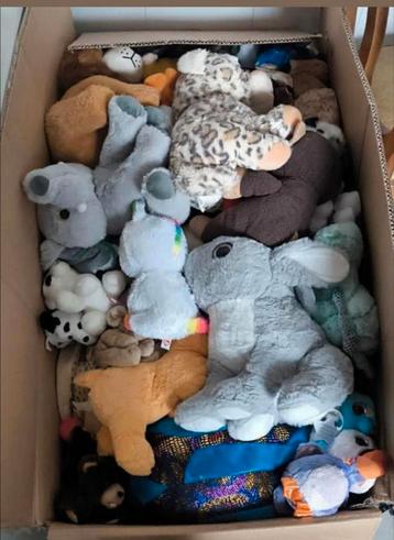 Ty knuffels  beschikbaar voor biedingen