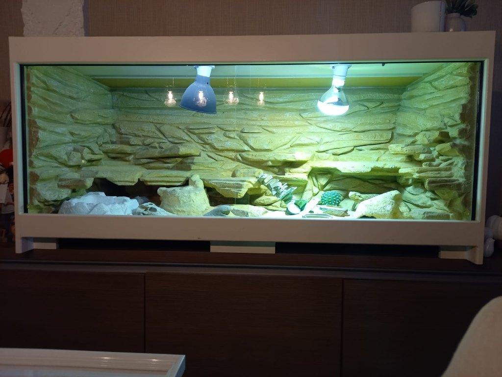 Grote terrarium, Animaux & Accessoires, Reptiles & Amphibiens | Accessoires, Utilisé, Terrarium ou Paludarium, Enlèvement