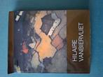 Hilaire Vanbiervliet  door Bert Dewilde 1980, Boeken, Ophalen of Verzenden, Zo goed als nieuw