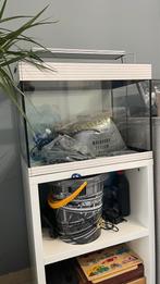 Aquascape aquarium 60cm met toebehoren, Dieren en Toebehoren, Vissen | Aquaria en Toebehoren, Ophalen, Gebruikt, Leeg aquarium